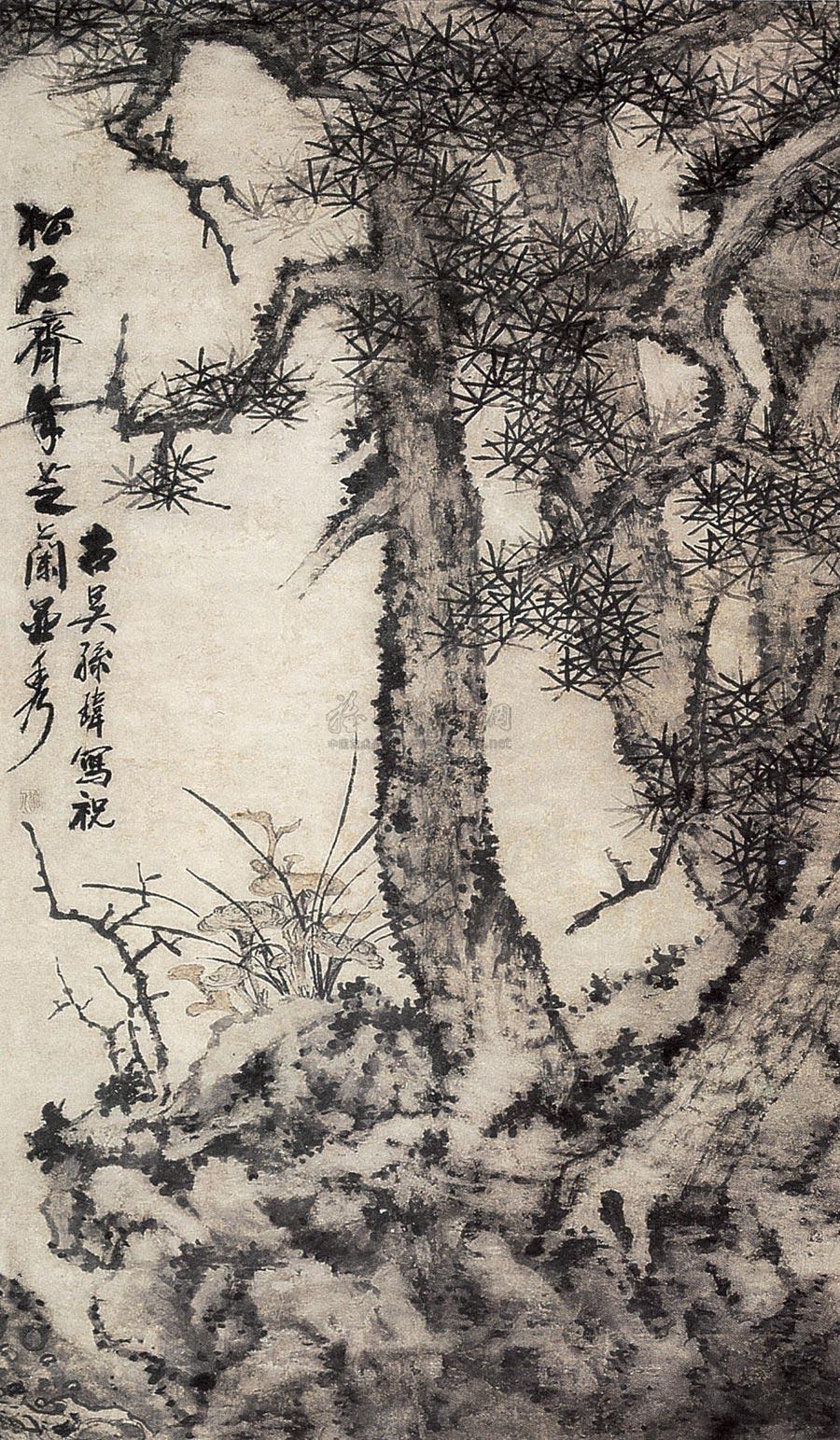 Pine Longevity