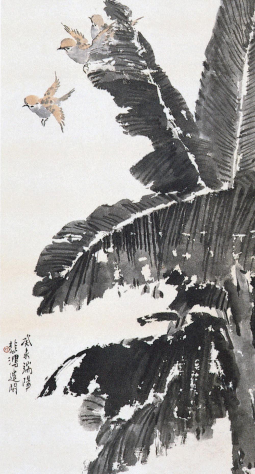 芭蕉小鸟