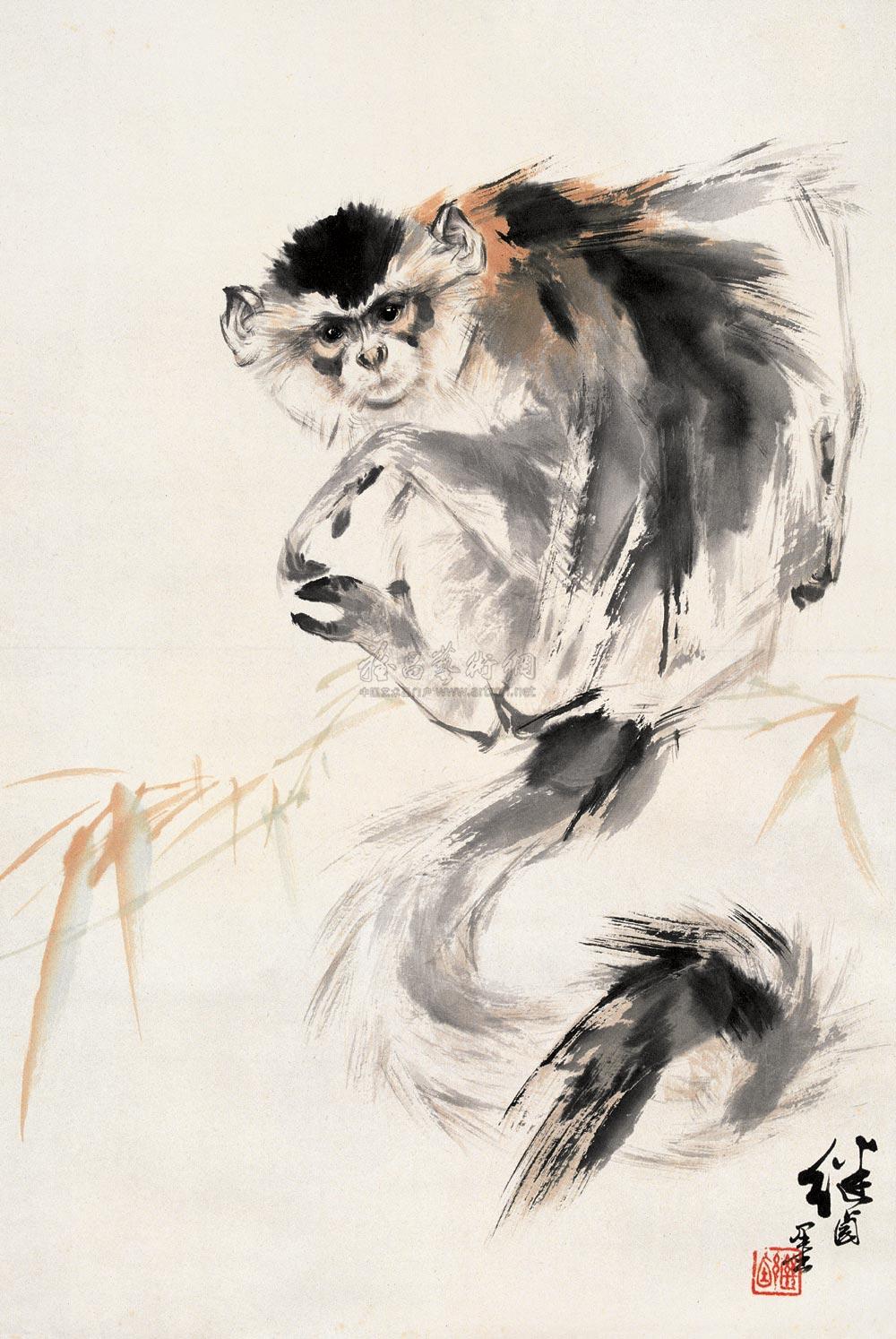 Monkey