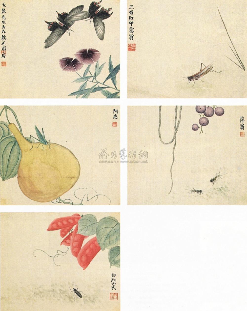 Flower and Insect Album (Select 5 from 10)