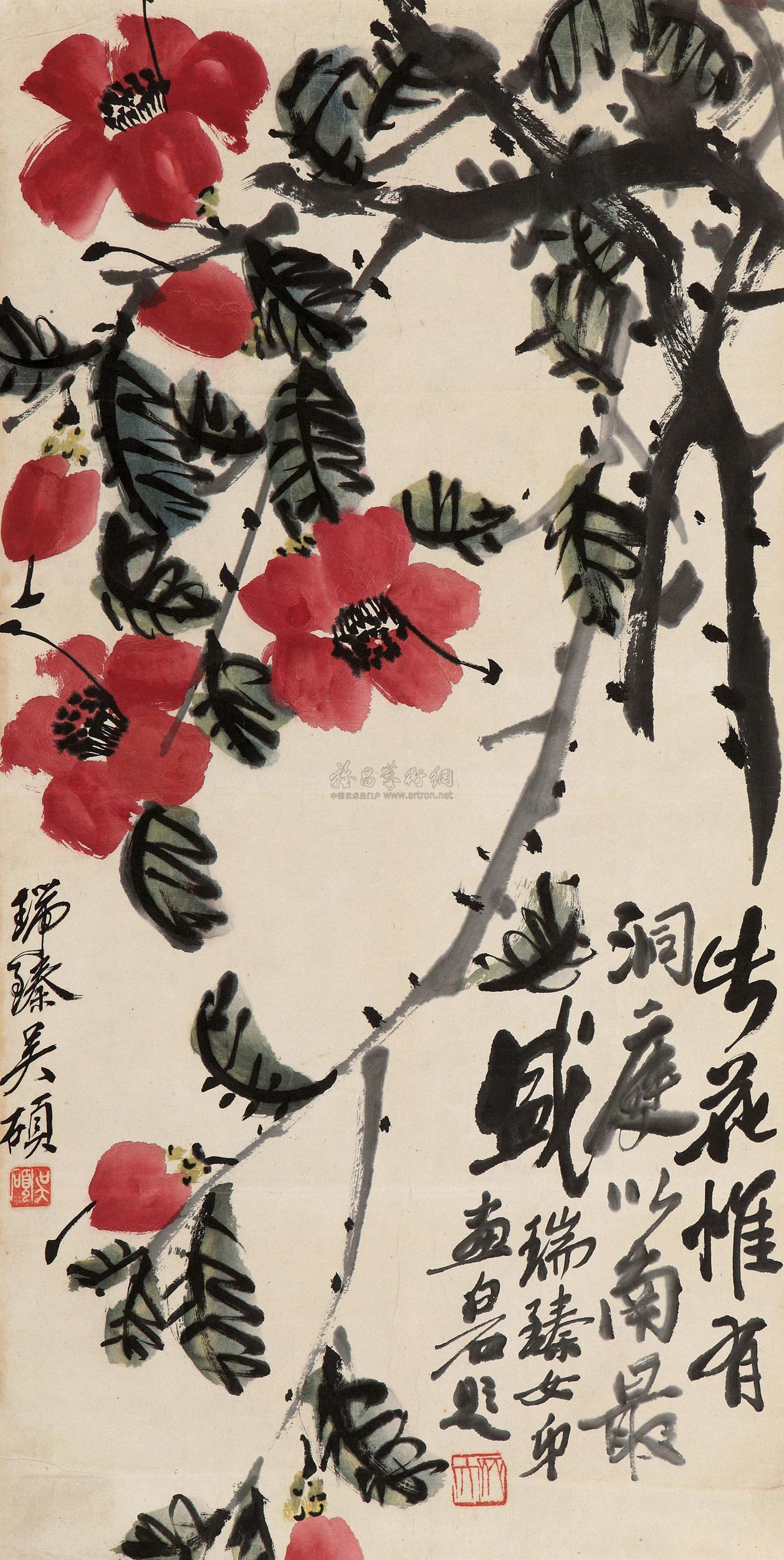山茶盛放