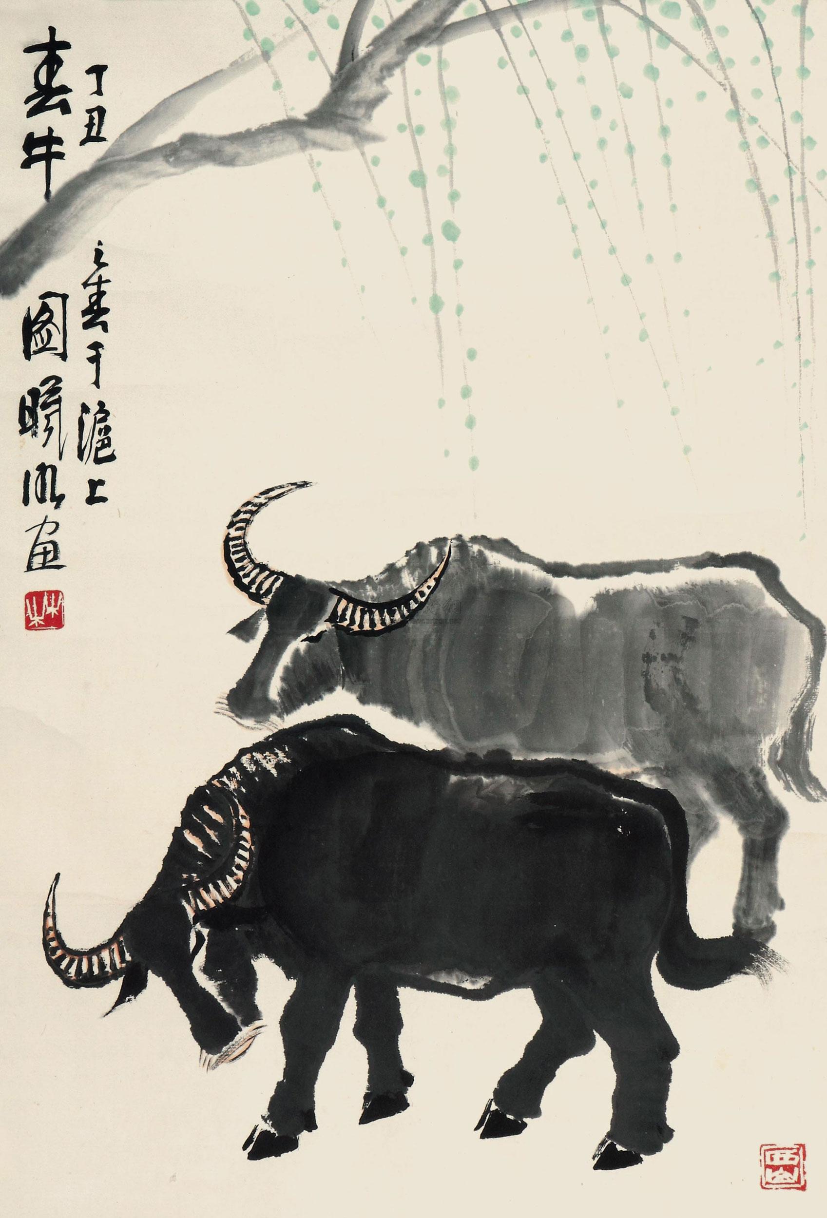 Spring Ox