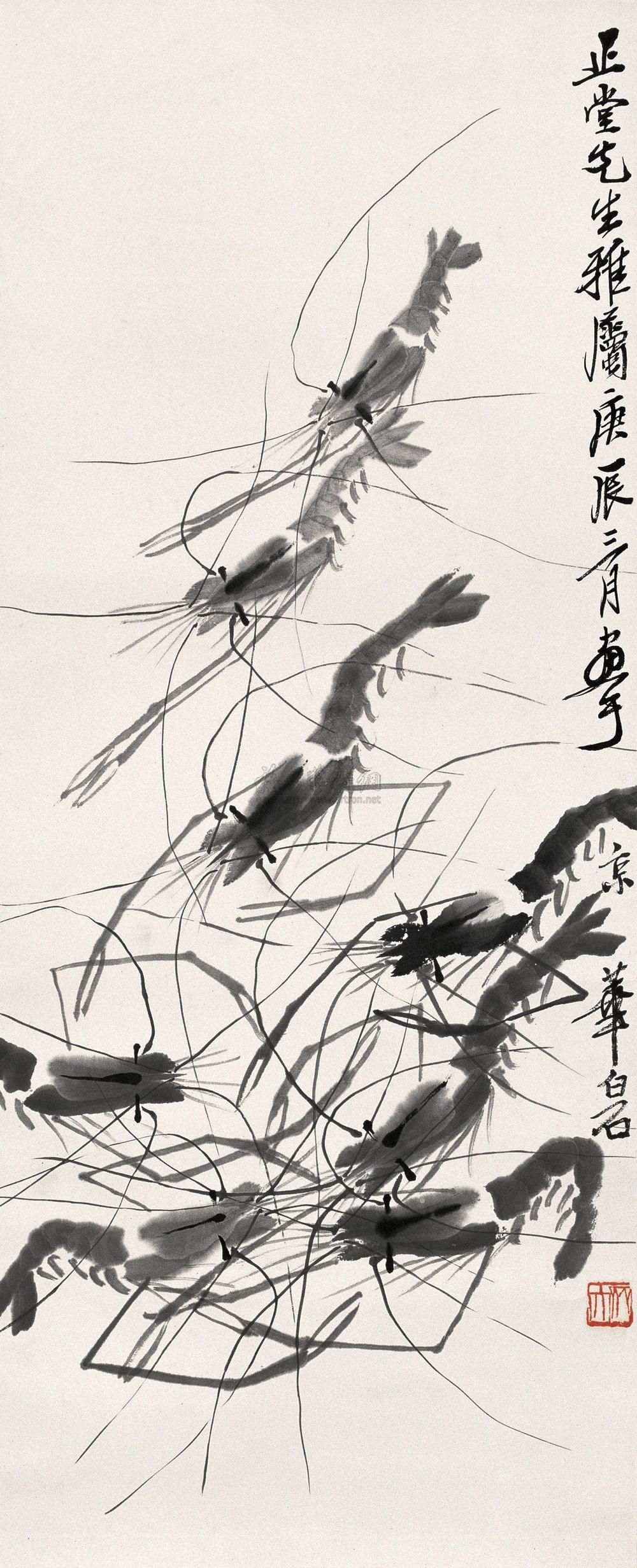 Group of Shrimp