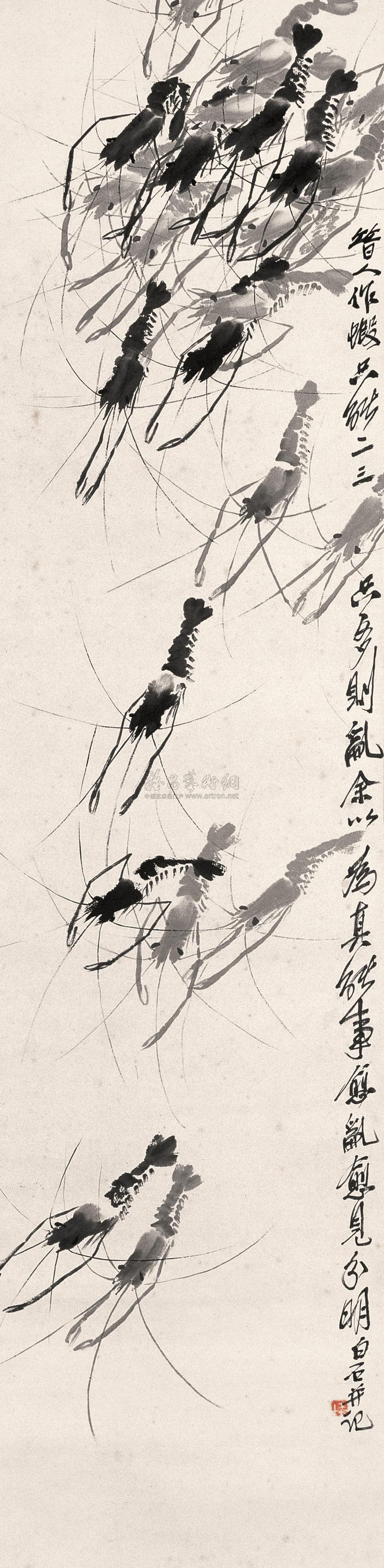 Group of Shrimp