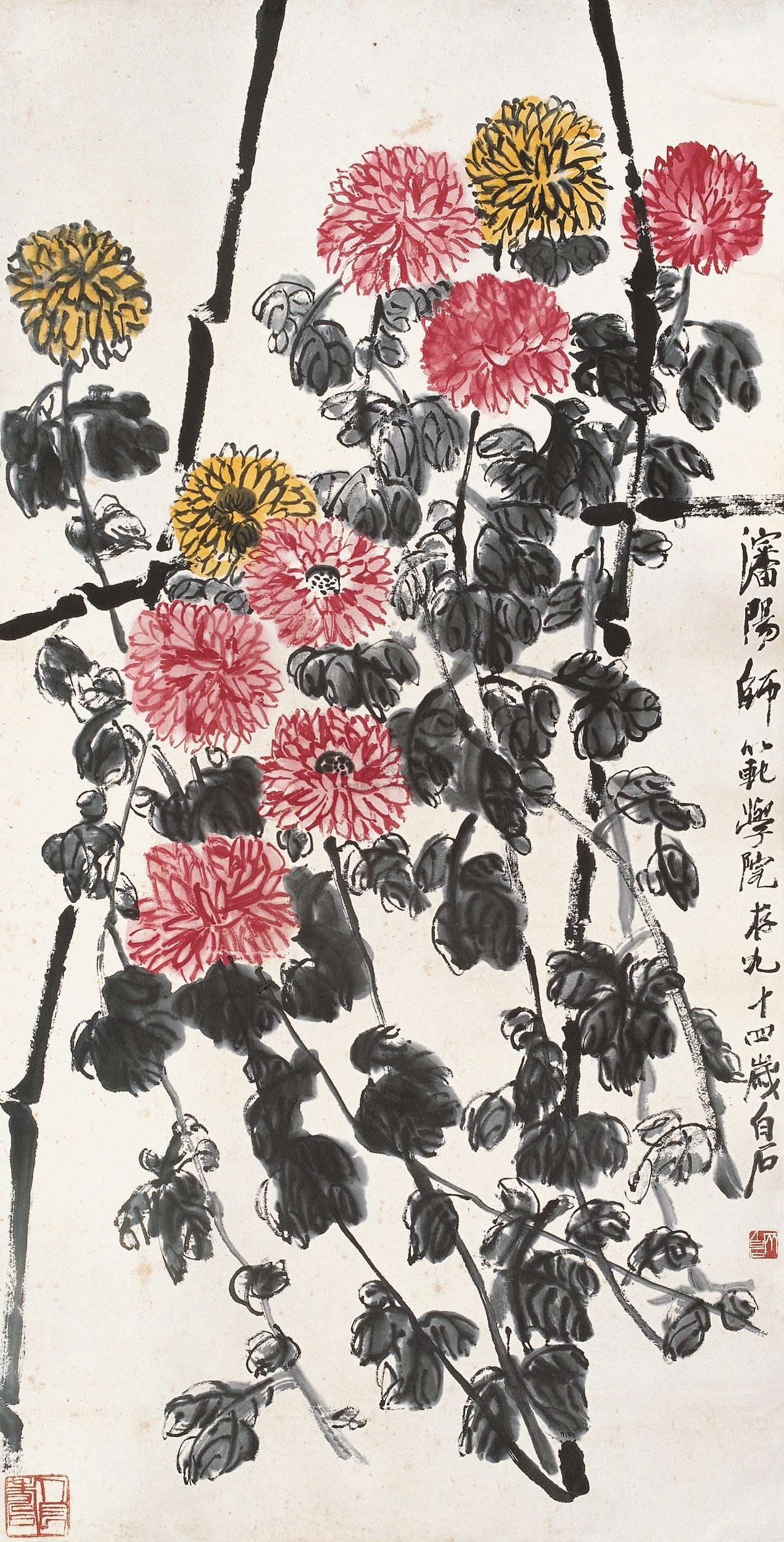 Chrysanthemum