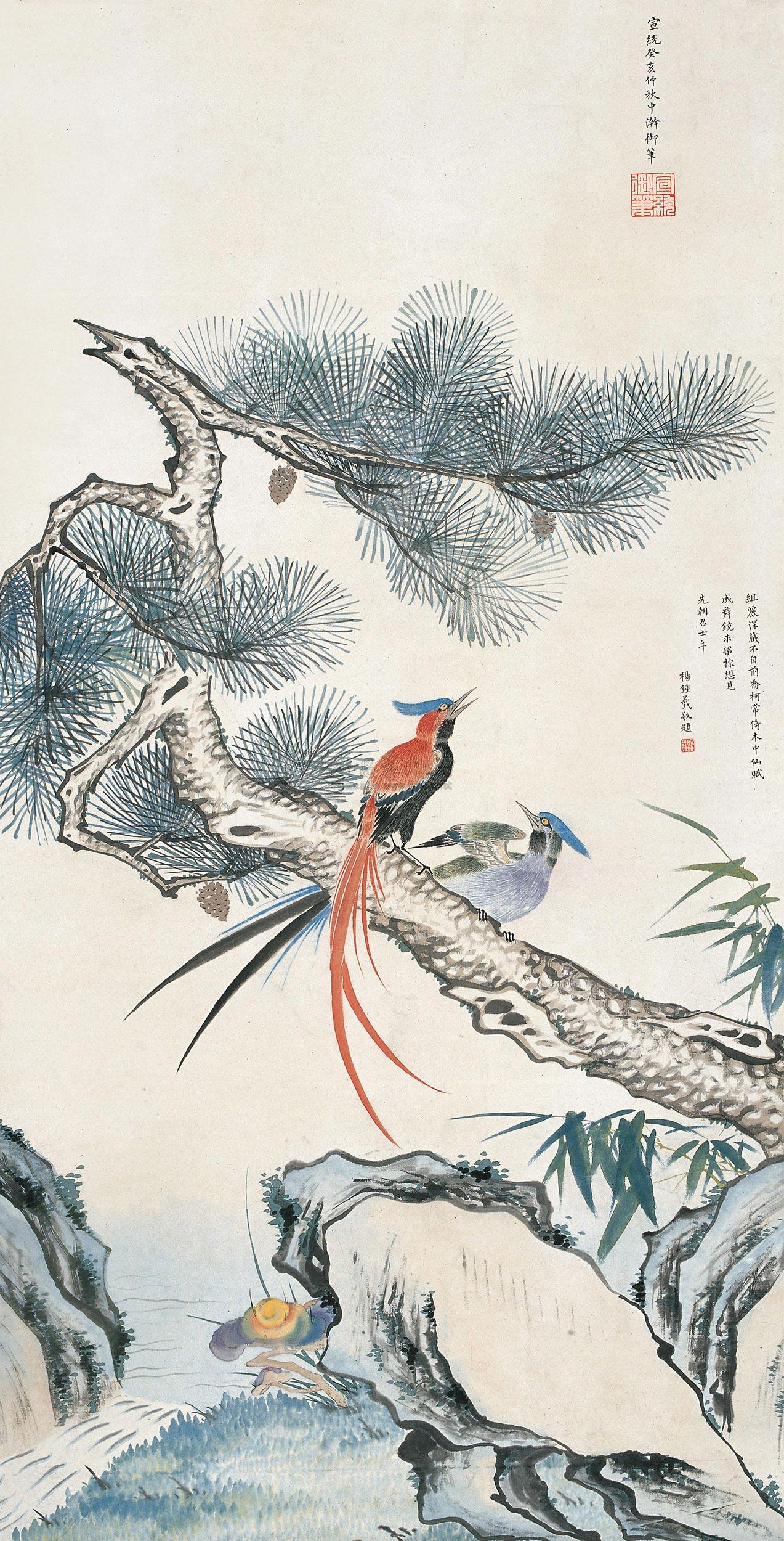 Pine and Longevity