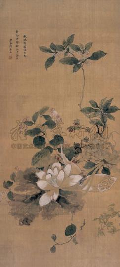 Lotus