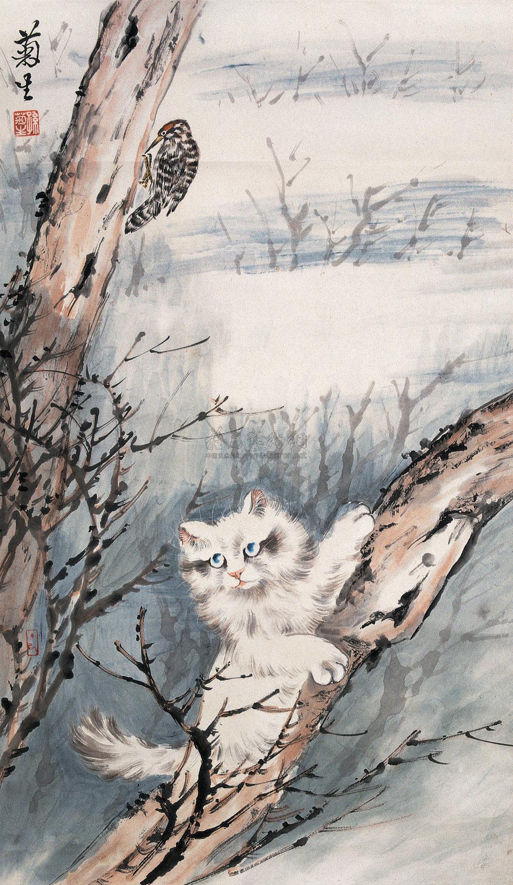 Cat Fun