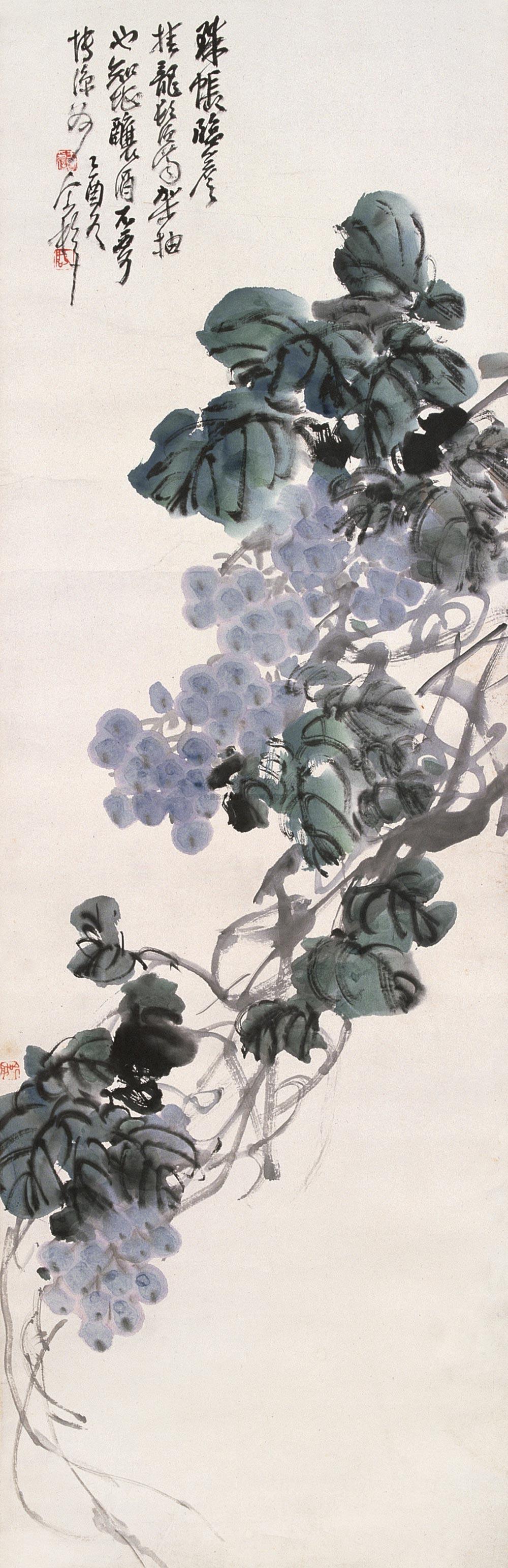 Grapes