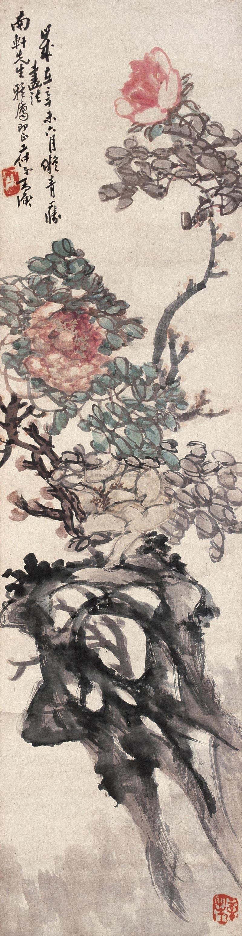 Peony