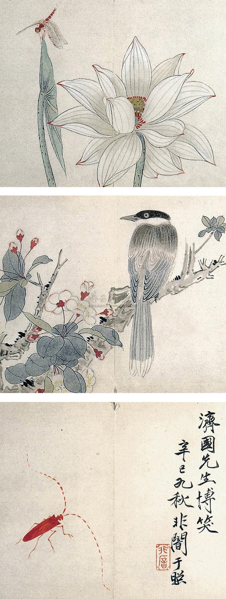 花鸟草虫 册 (十一开选三)