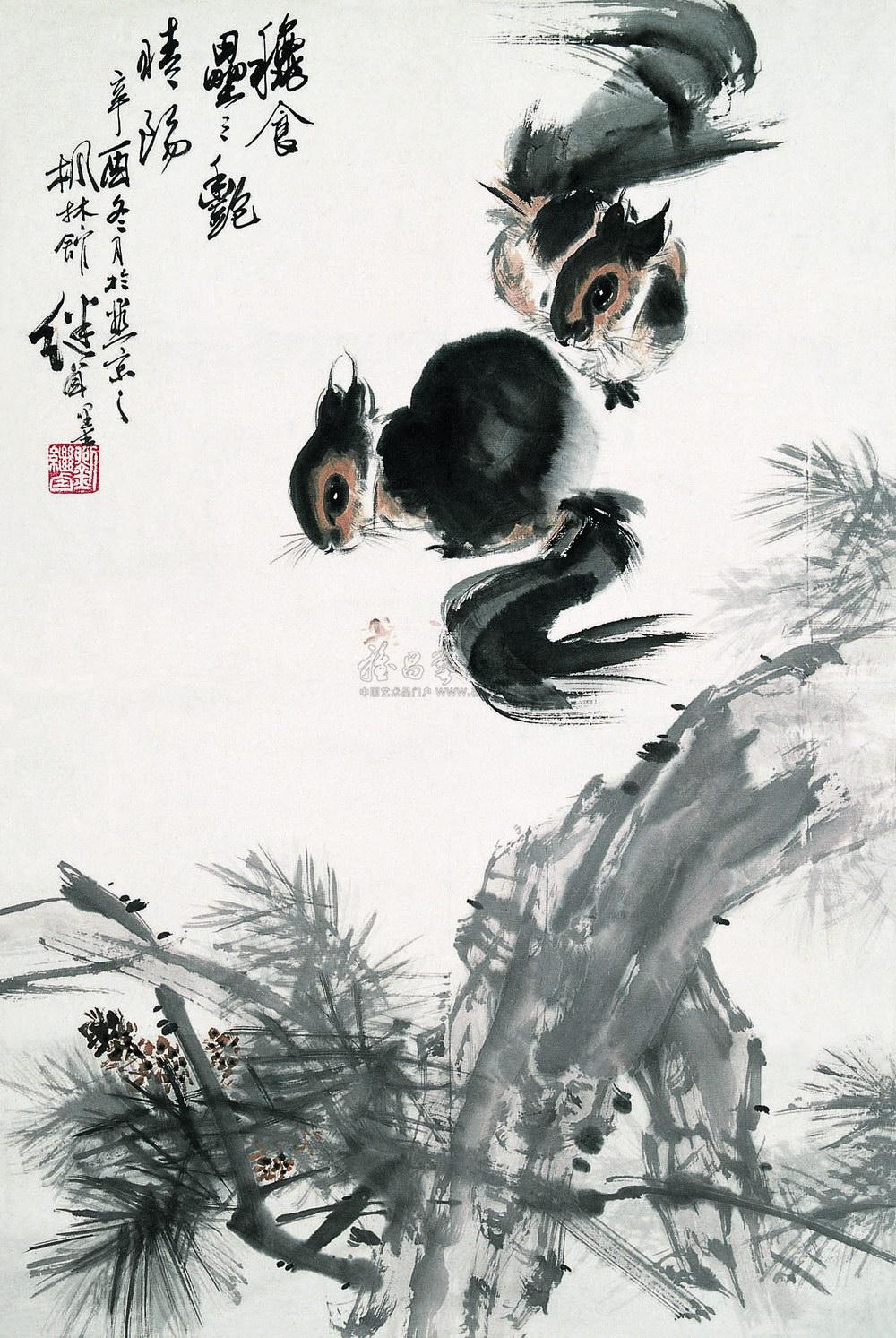 Squirrel