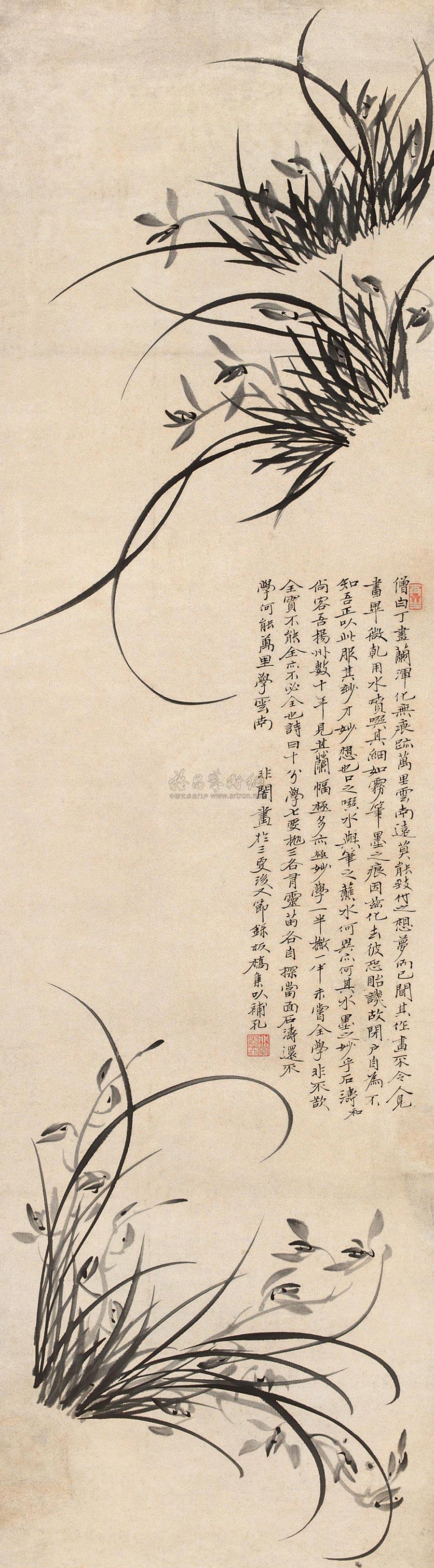 Orchid Hanging Scroll