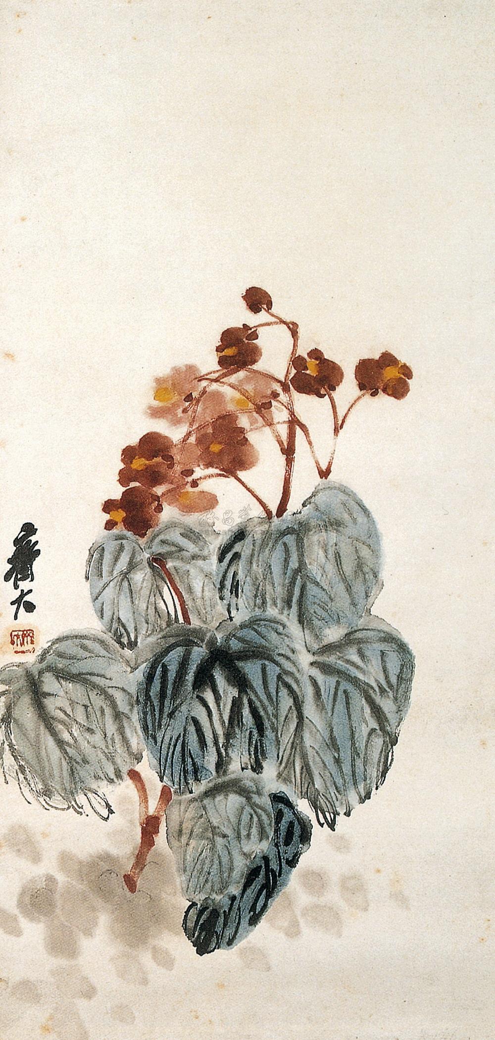 海棠 立轴