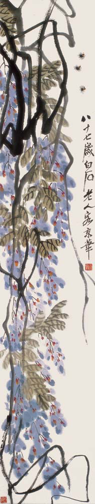 Wisteria