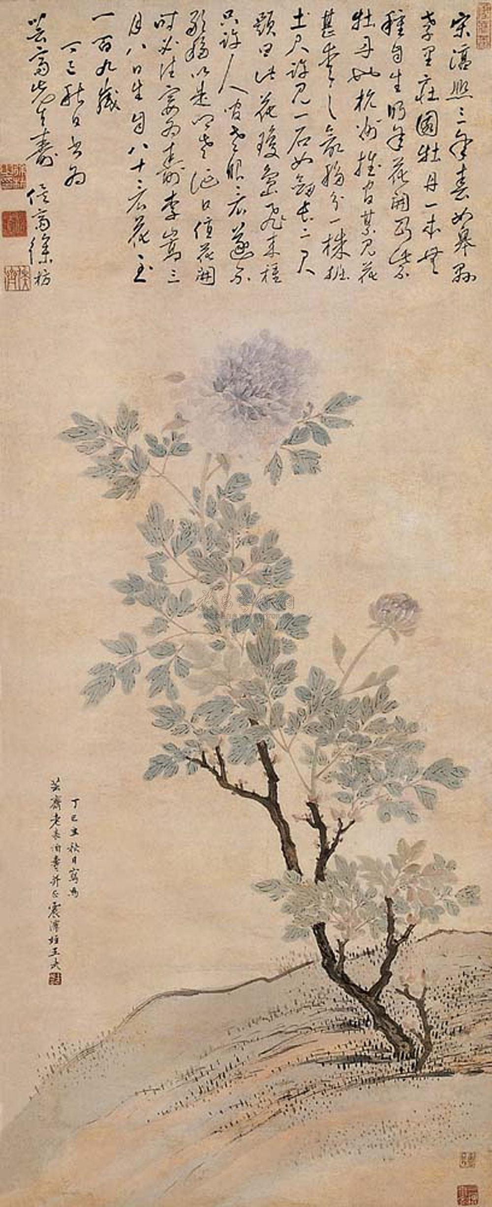 Peony