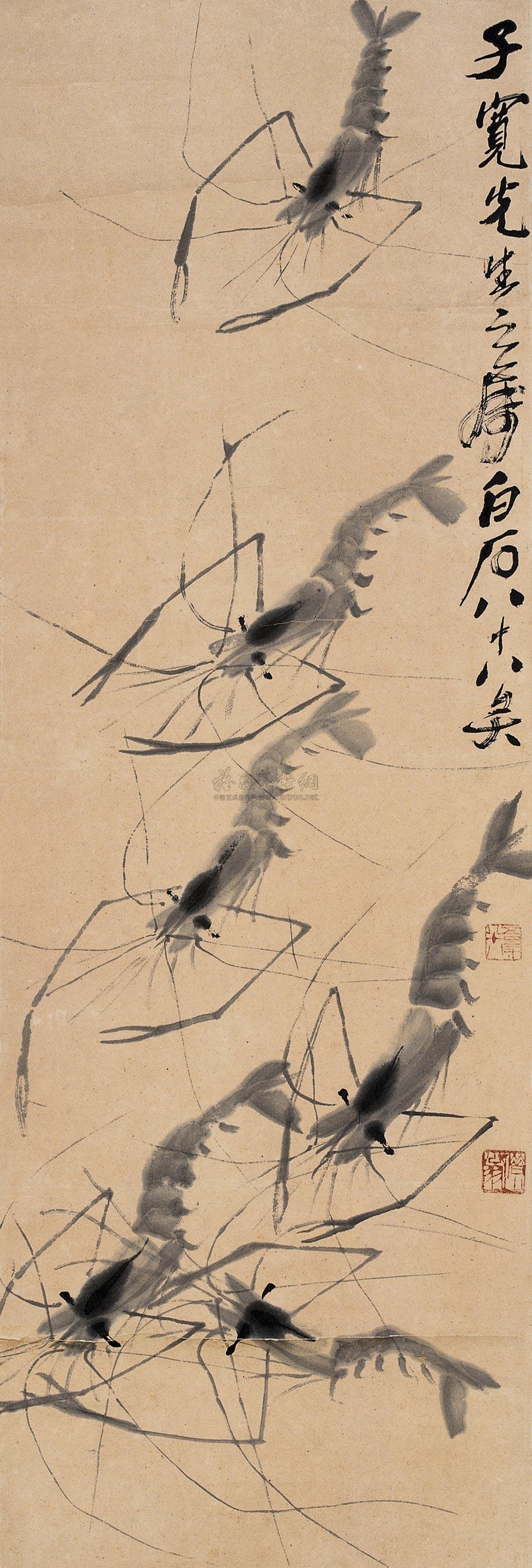 Group of Shrimp