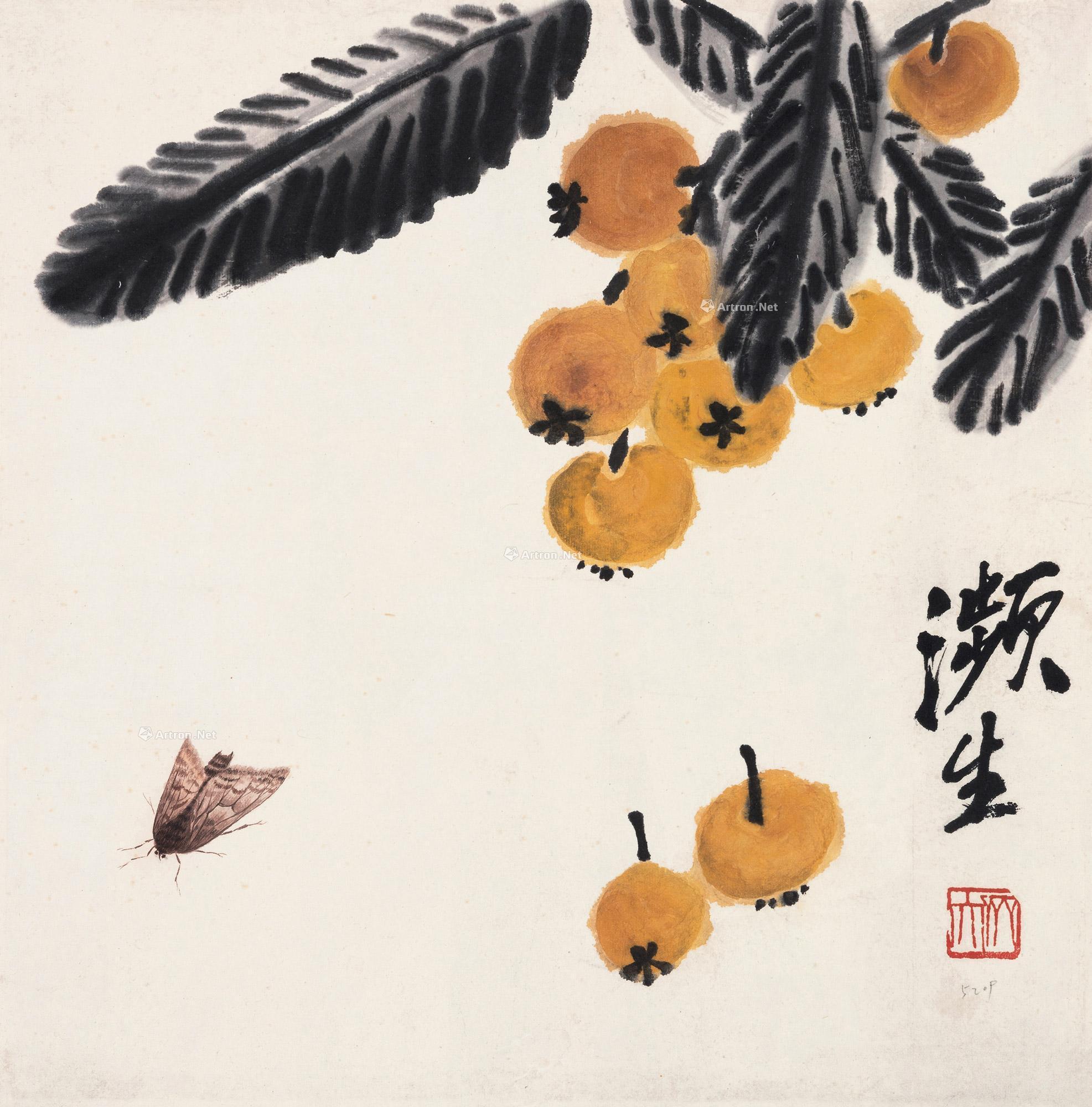 Loquat and Insect
