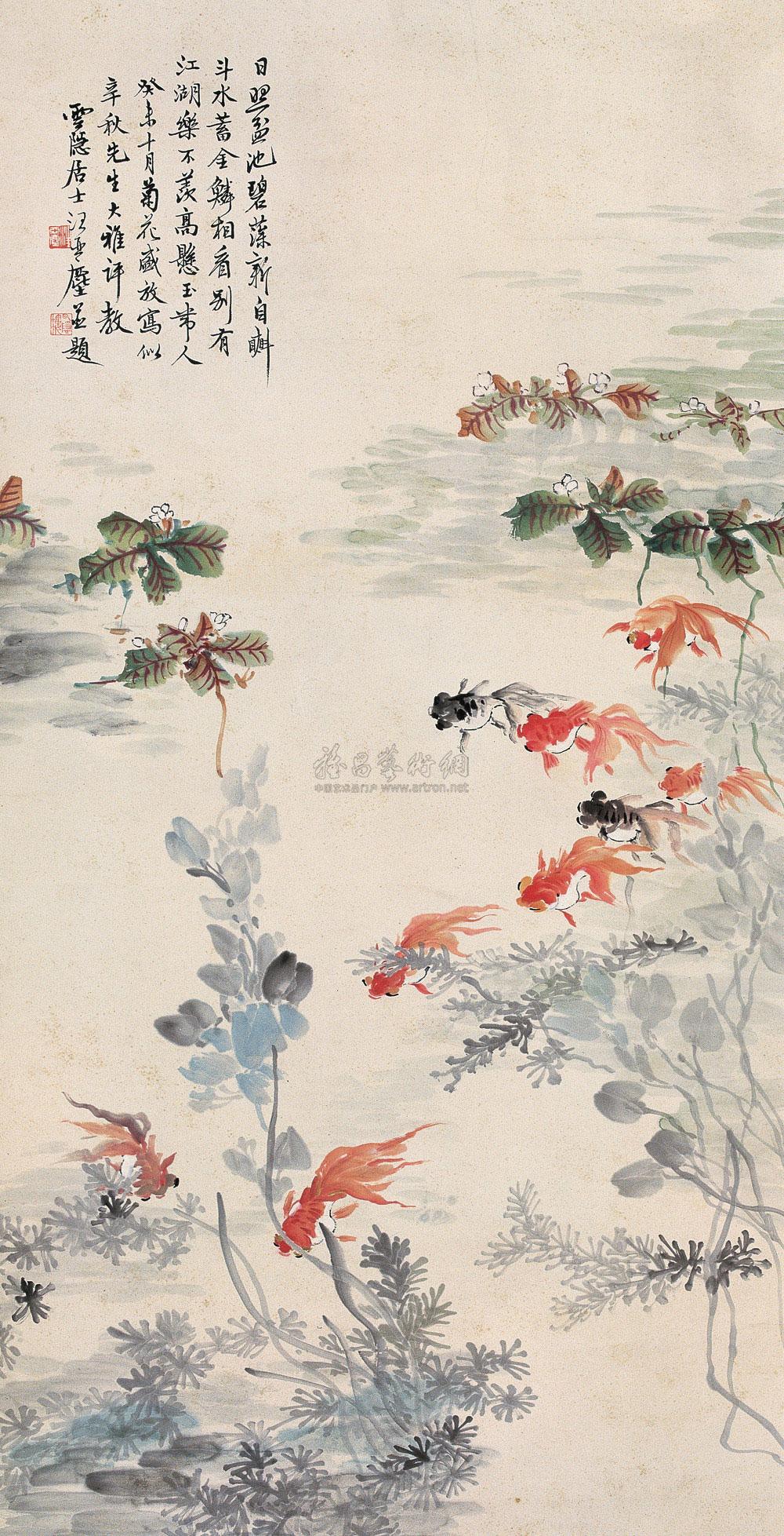 Goldfish