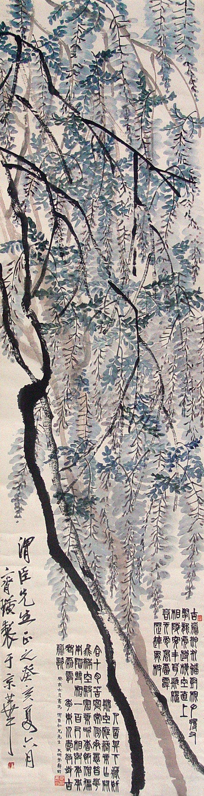 Wisteria