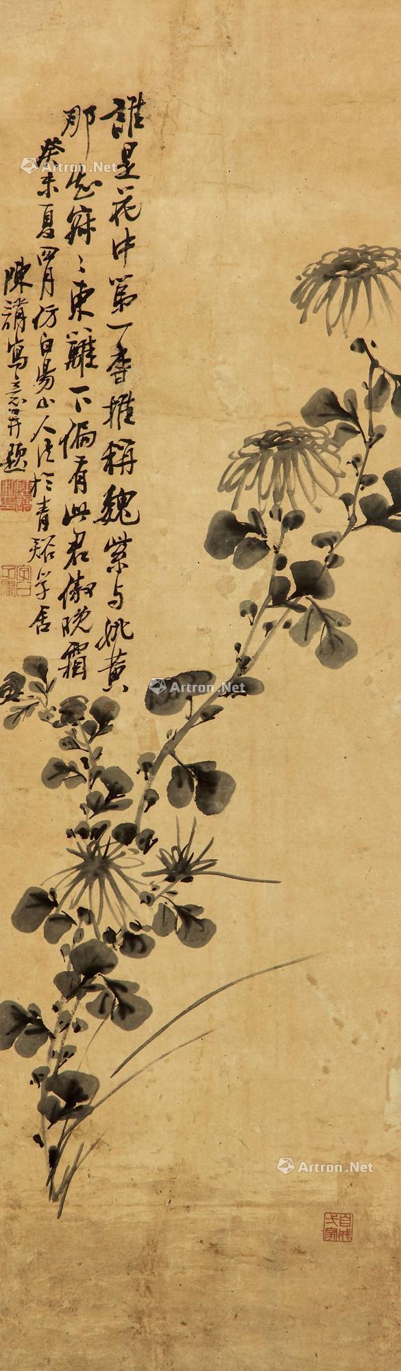 墨菊图