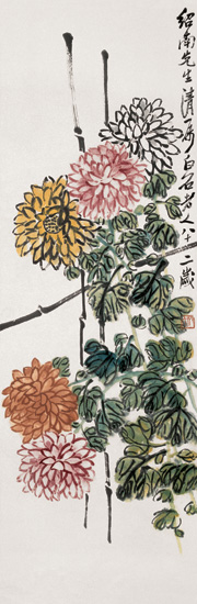 Chrysanthemum