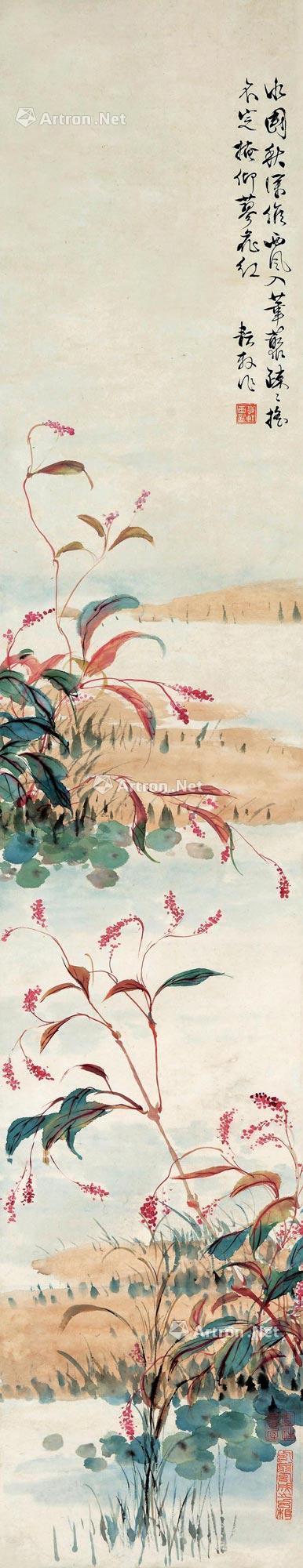 蓼花红 立轴