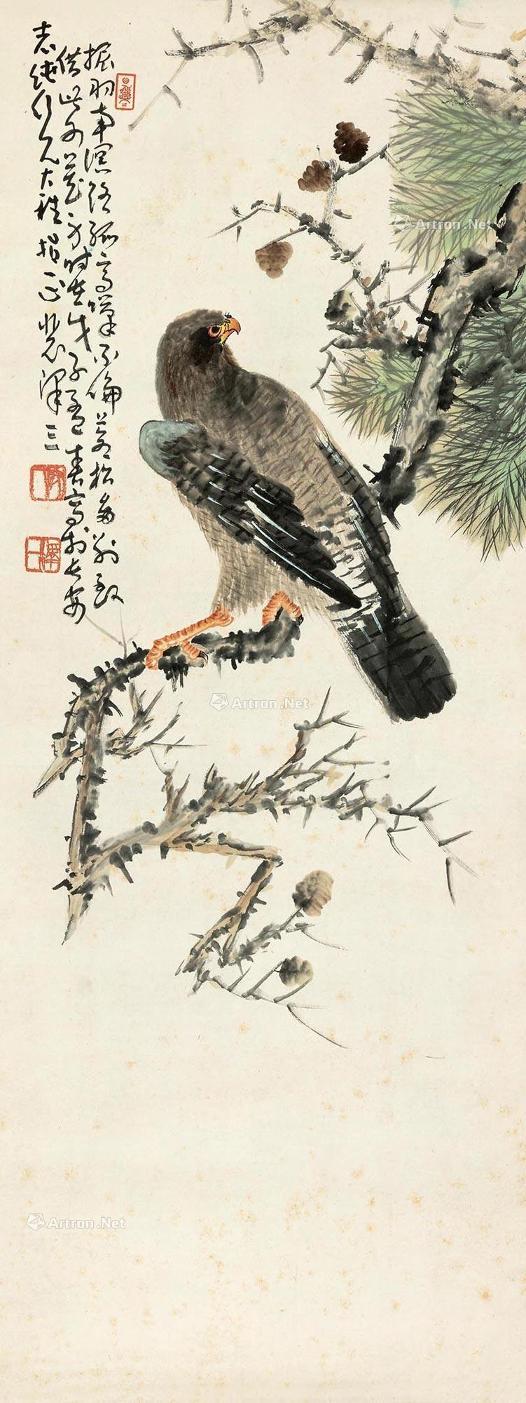 Pine Eagle