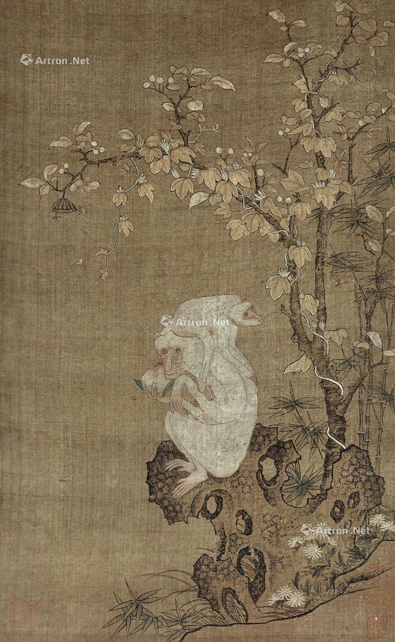 White Monkey Picture