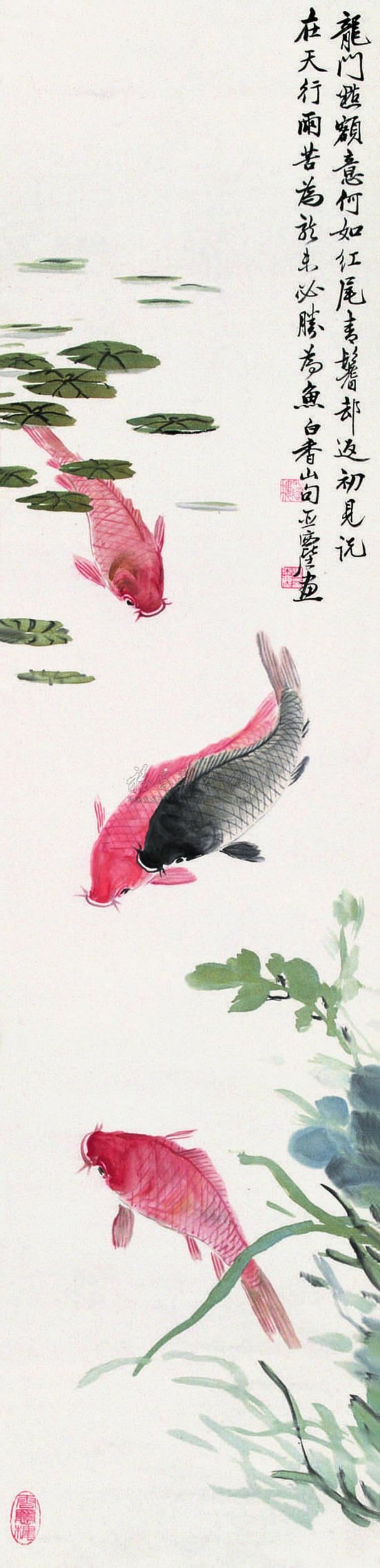 Carp