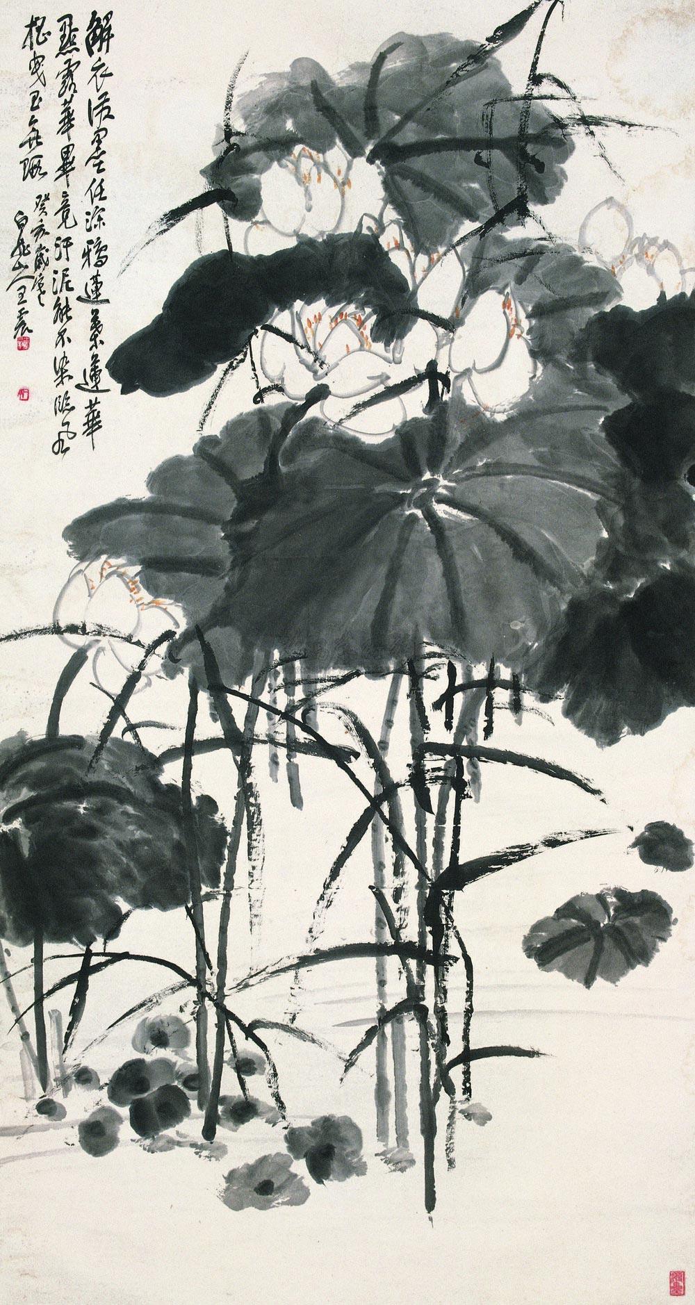 Lotus Flower