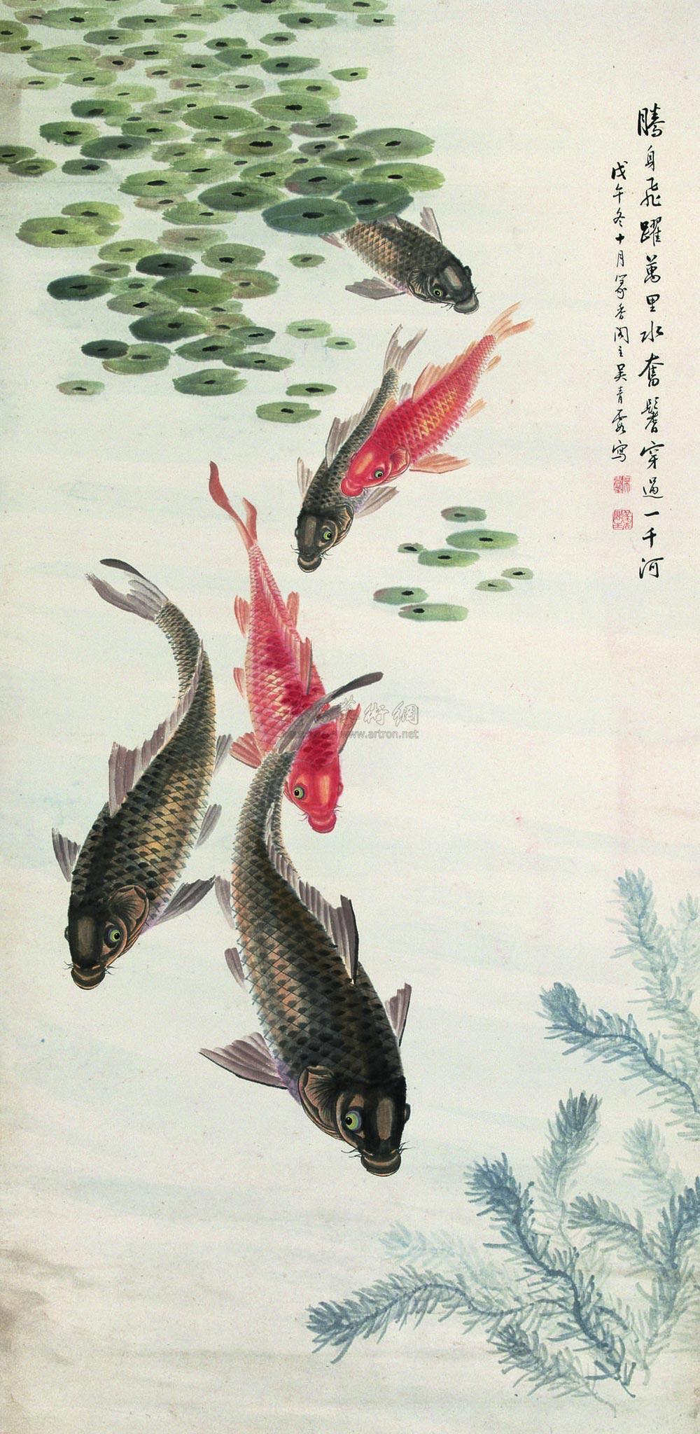 Carp