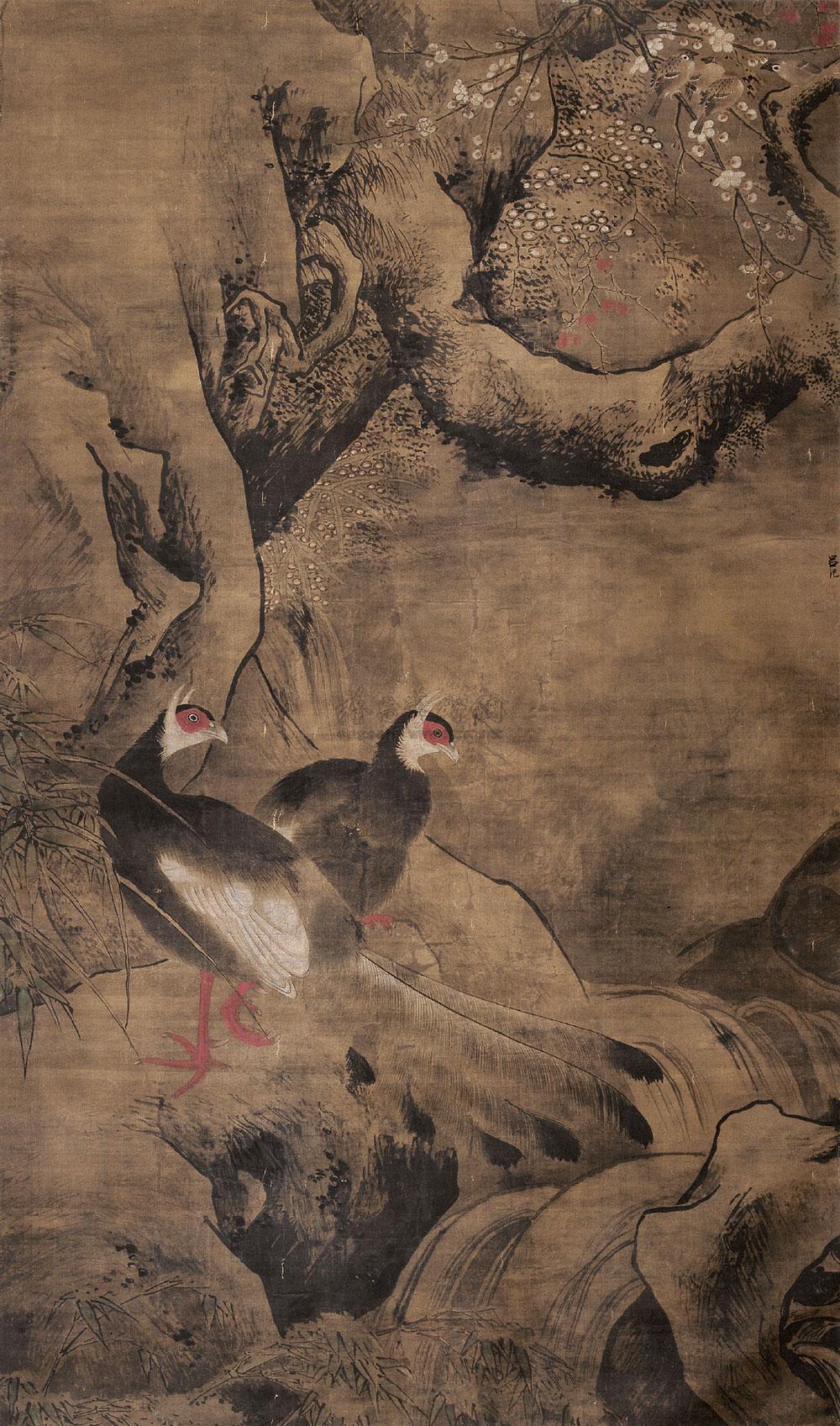 Rooster