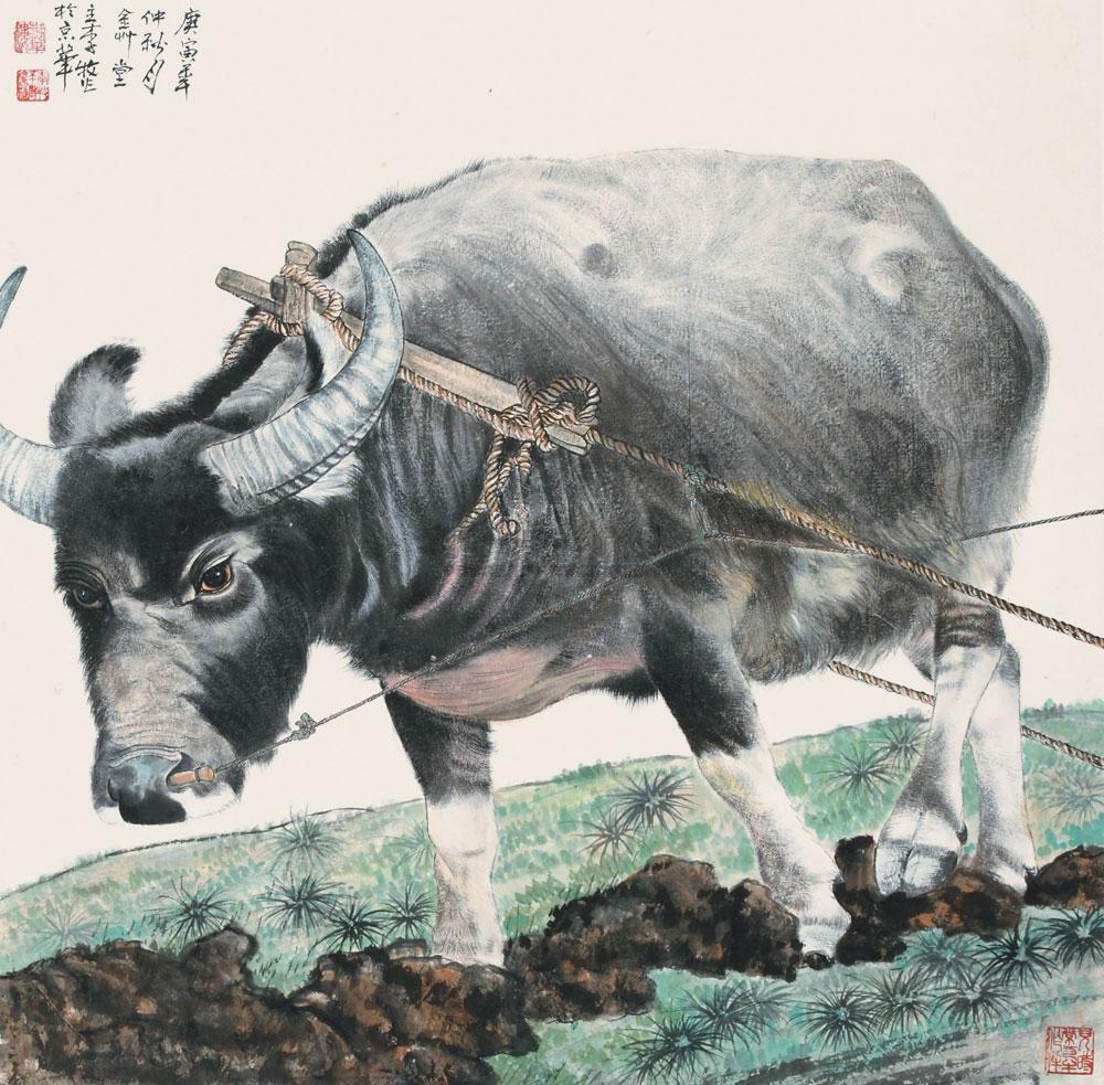 Spring Plowing