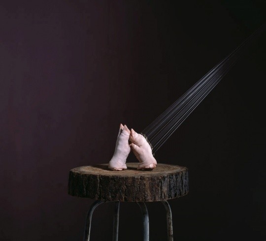 蒋志,跳舞有时,2010