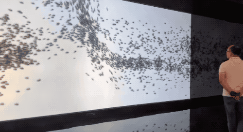 9lqLPUcL7G32a5v2oETxcfzxt4epyxXNbRcWrjiz.gif