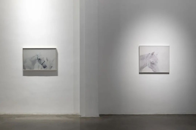 “逐光—李关关个展”展览现场 ysTJFFTAlXcxbfWdvzfgO0B3n4UWC3xzjjHlIhfg.jpg