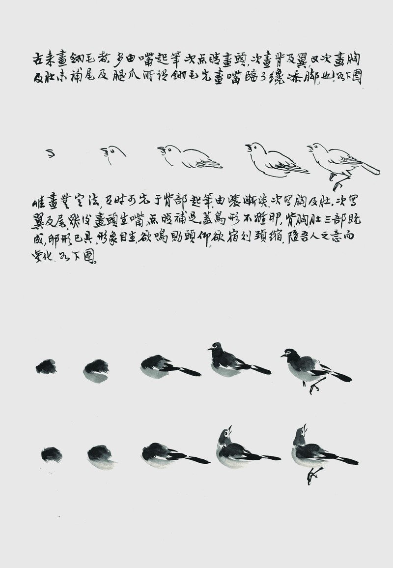 《翎毛集》画谱-1957年-中国国家博物馆藏 (捐赠)-3 ZVHH6Rldxv4ibrgn1MGbrgOA98mUjSX6lUwvK3A3.jpg