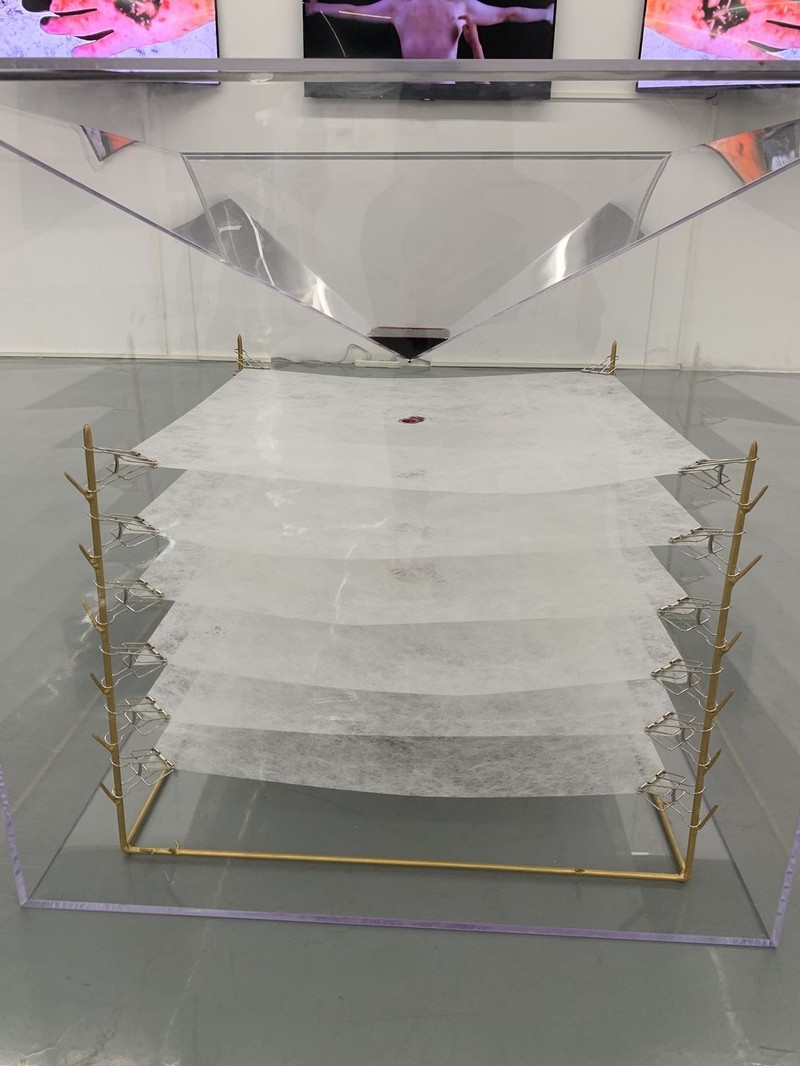 杨哲铭 《穿越界限》 80x80x80cm 有机玻璃,特殊纤维,红色颜料,2021年 CzSysEYhAbqAOzCBLFm0TvG1yb8xcSSzyAgTKBJ5.jpg