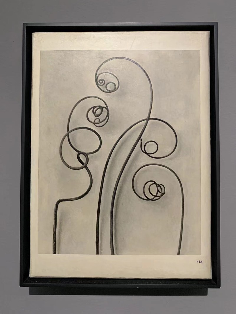 Book Painting No.25 (Karl Blossfeldt. Wunder in der Natur, H. Schmidt and C. Günther, Leipzig, 1942, Page 113),布面丙烯 Acrylic on Canvas,32.5 × 24 cm,2019 5MFNZyFzXcATpQJF9fQVURolfXGz0tjllrgyfaGM.jpeg