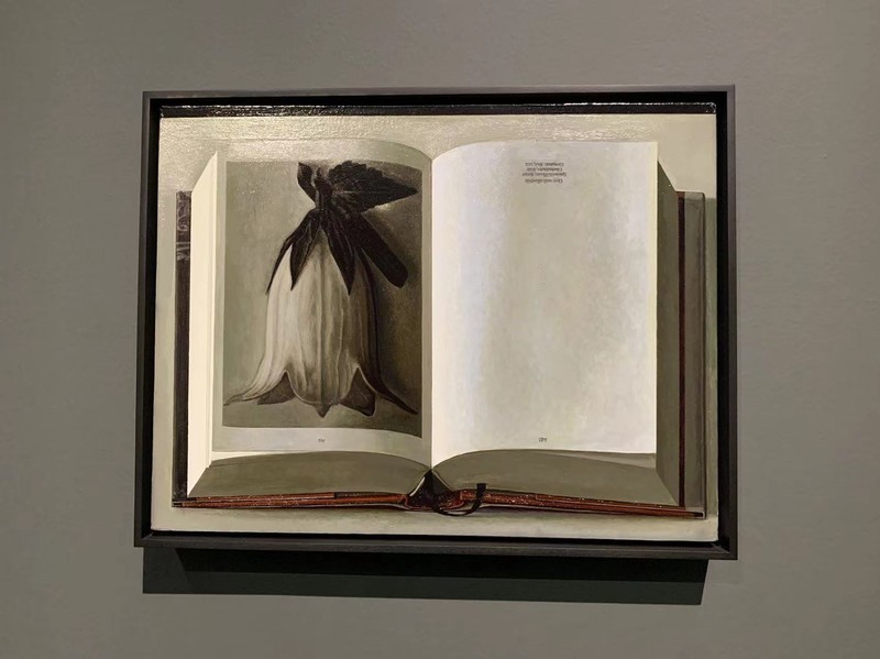 Book Painting No.21 (Karl Blossfeldt. The Complete Published Work, Taschen GmbH, 2017),布面丙烯 Acrylic on Canvas,28 × 36 cm, 2018 eGBdX2Xd0R3sKl8fHulW1QZ0KWg07ylJK7MEJbJn.jpeg