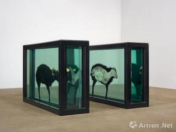 ‘Natural History’ by Damien Hirst