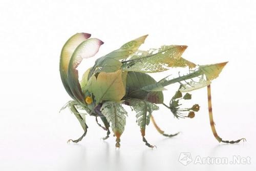 日本艺术家用树脂打造出了“昆虫总动员”