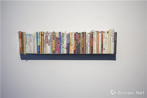 《百变孤独（2116）》，装置，书，25×93×17 cm，2013 - 2016