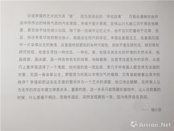 批评家杨小彦对于李强创作的评论文字