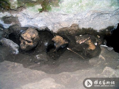 上周末开始，各国媒体纷纷开炒格鲁吉亚德马尼西古人头骨化石的特殊意义，尤其是对人类演变进化的意义。