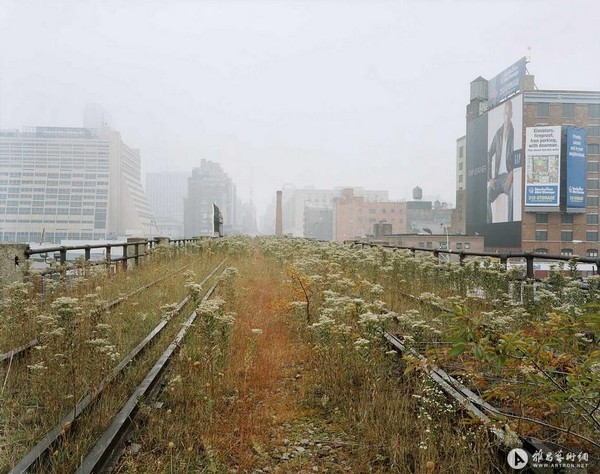 斯坦菲尔德：Friends of the High Line