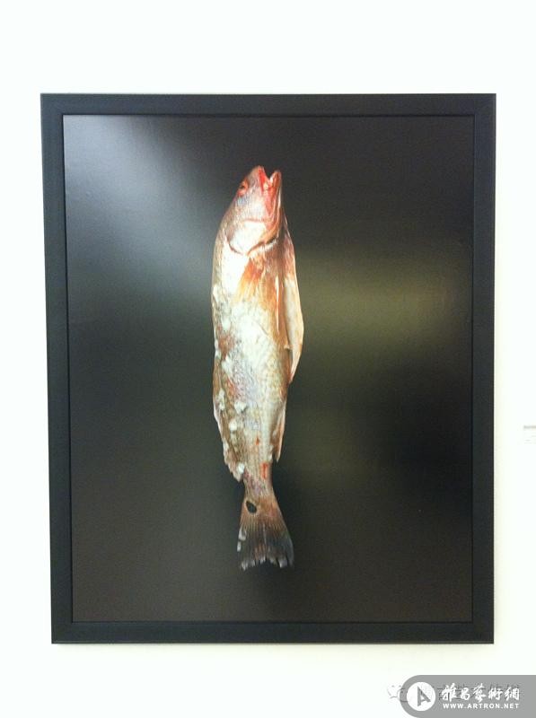 2014年鲁迅美术学院本科毕业展——《摄影篇》