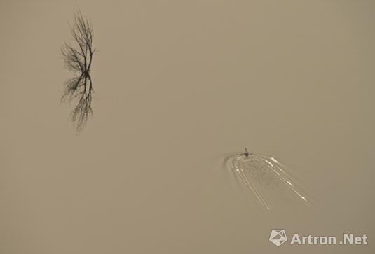 2014年4月AAC艺术中国月度观察报告之艺术家-摄影类：徐大庆