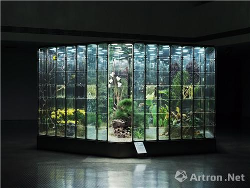 诺亚花园1 镜子，单向反射玻璃，LED光源，植物，动物标本，钢材 
